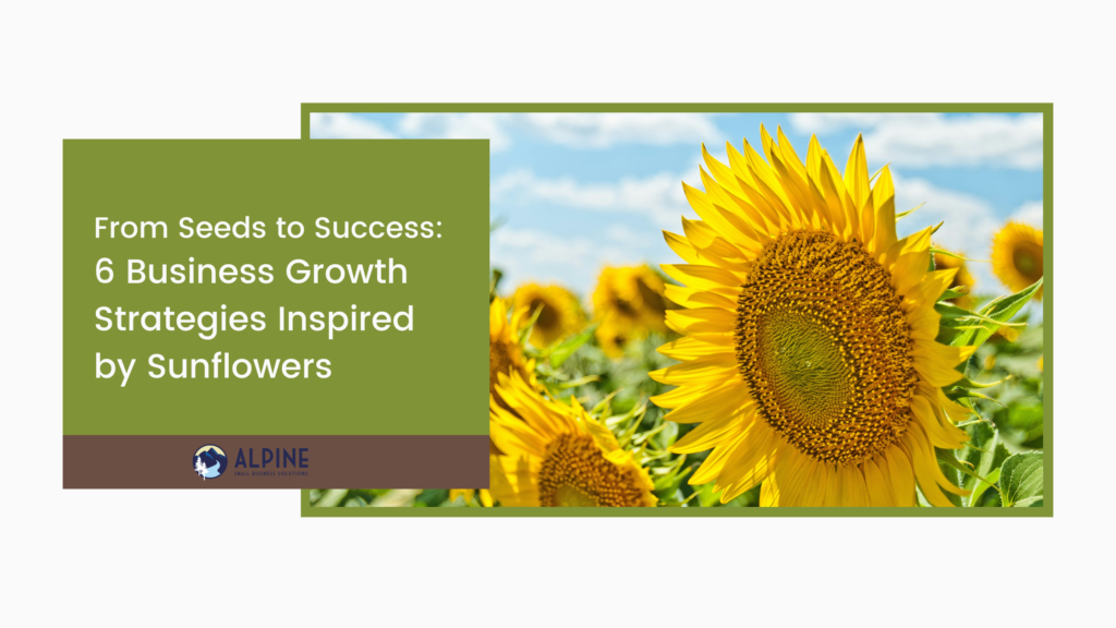 6 Business Growth Strategies Inspired by Sunflowers